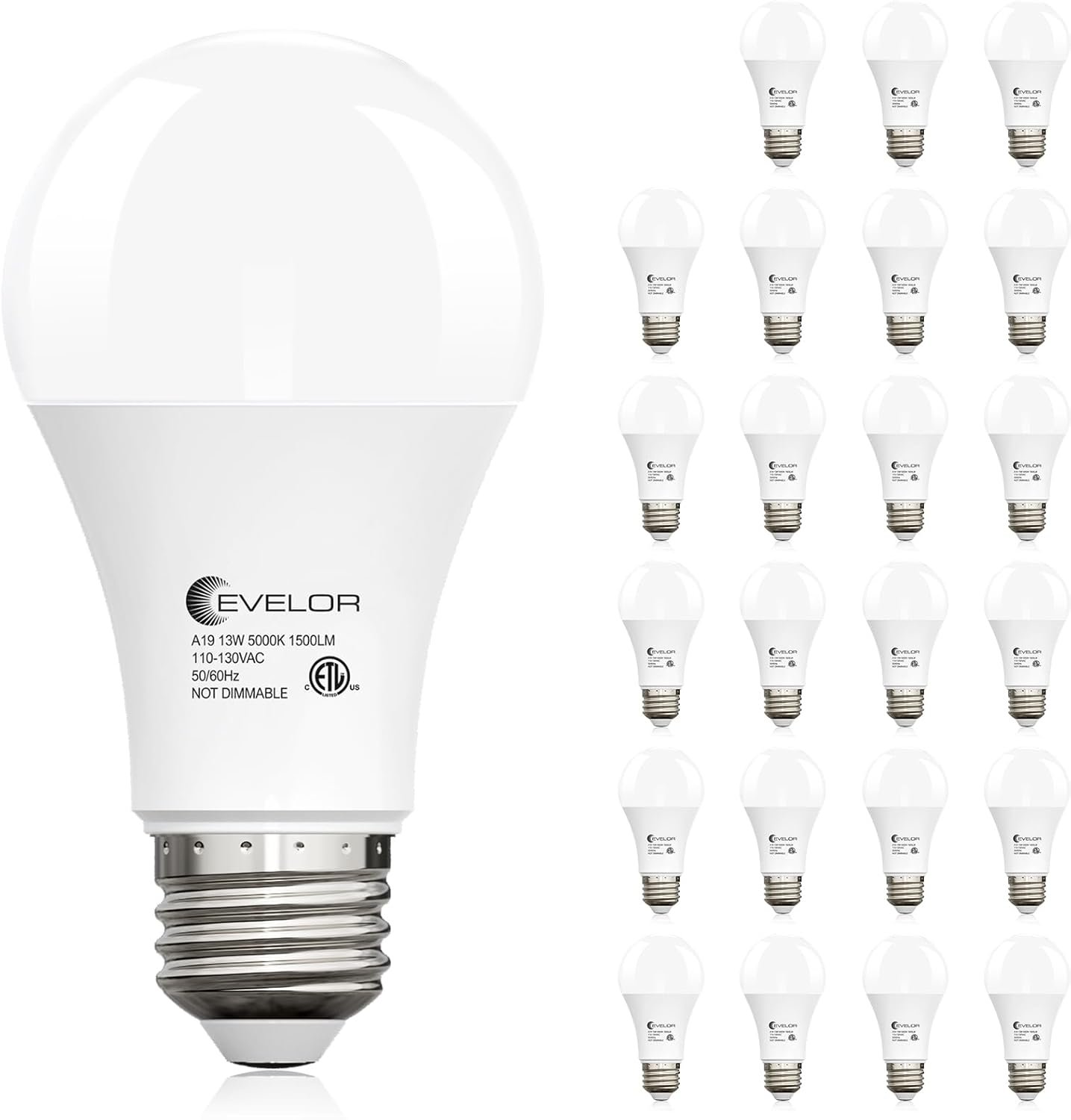 evelor 24-Packs A19 LED Light Bulbs,100 Watt Equivalent Daylight 5000K Bright Bulbs Efficient 13W,1500 Lumens E26 Base, Non-Dimmable, 15000-Hour Lifespan for Bedroom, Living Room, Office