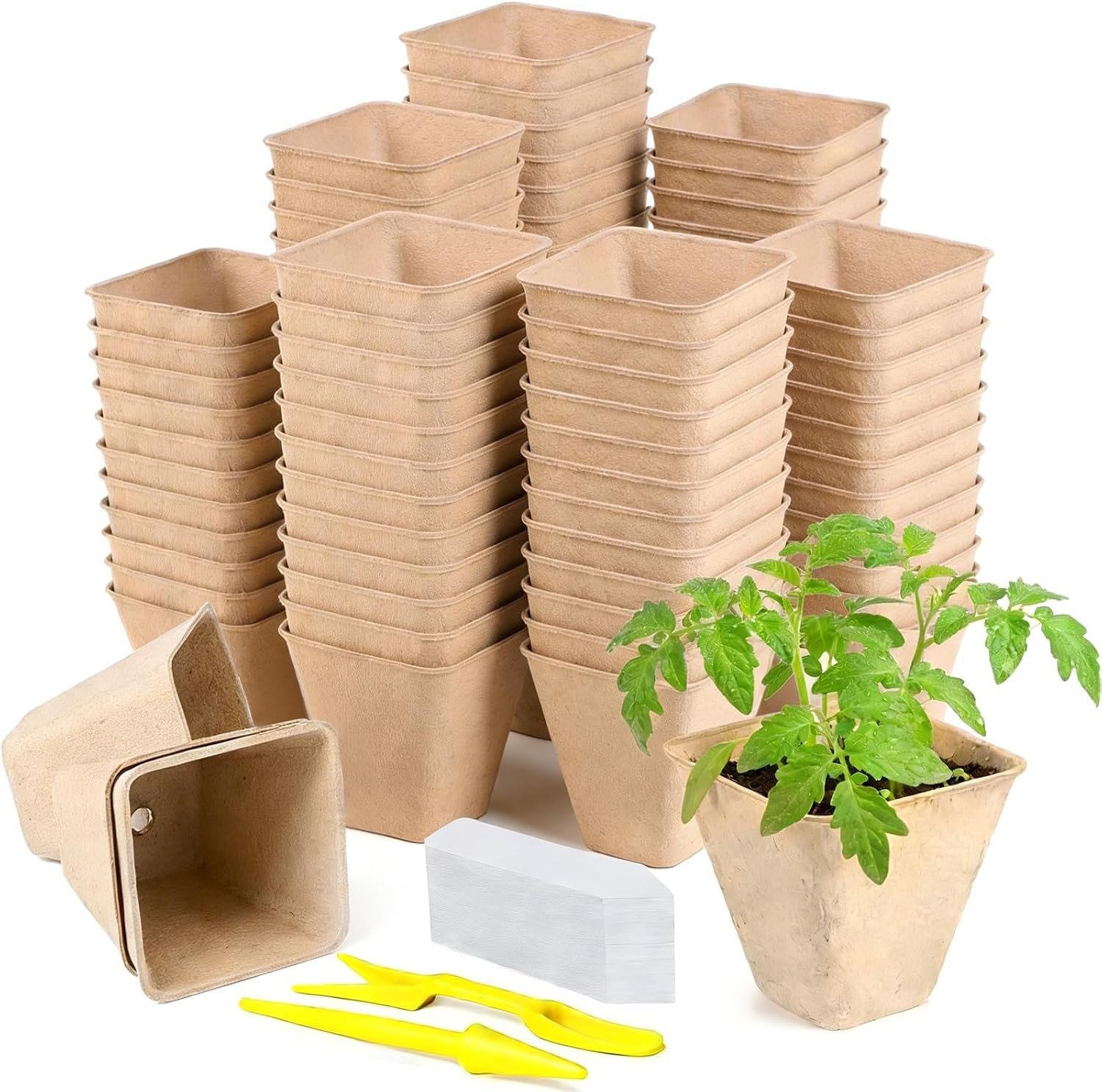 Peat Pots, 70 Pack 3.15 Inch Seed Starter Pots for Seedlings | Biodegradable Seedling Pots with Drainage Holes and 100 Labels for Seed Starting, Indoor and Outdoor Gardening