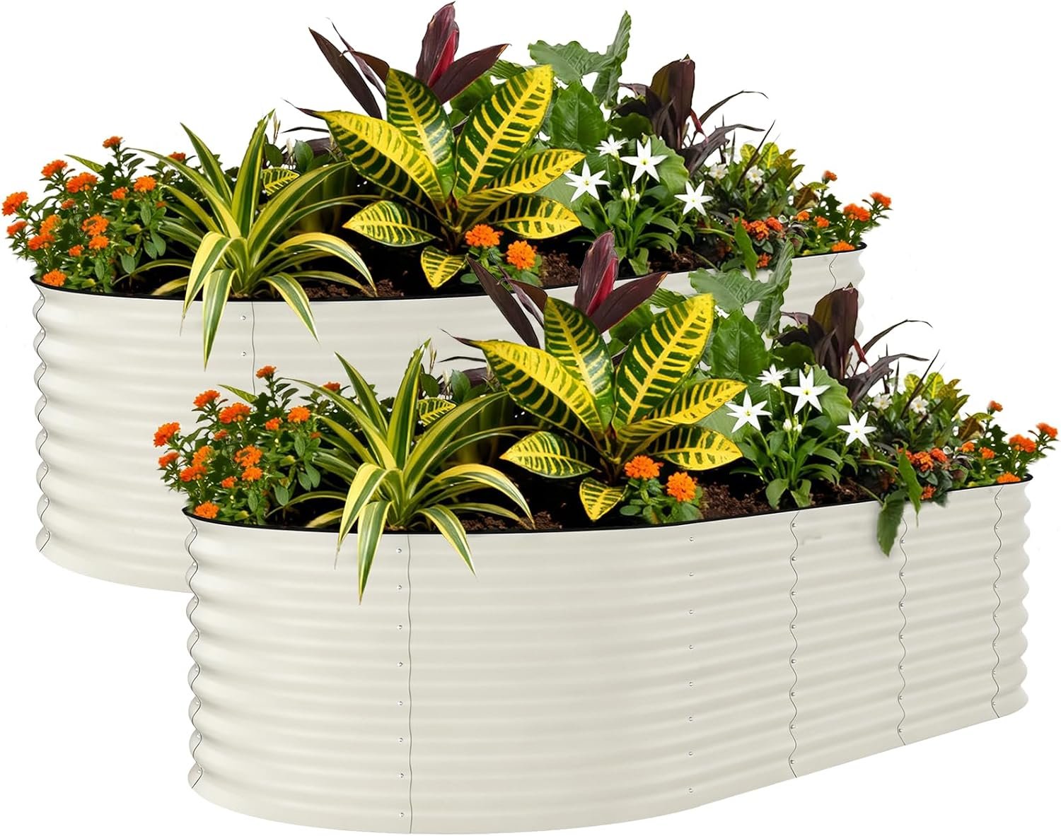 Garvee 2 Pack 8x4x2ft Galvanized Raised Garden Bed, Oval Metal Planter Box | 0.6mm Thick Steel Raised Garden Kit with Anti-Cut Safety Edges, For Vegetables, Herbs & Flowers, Rust-resistant, Beige