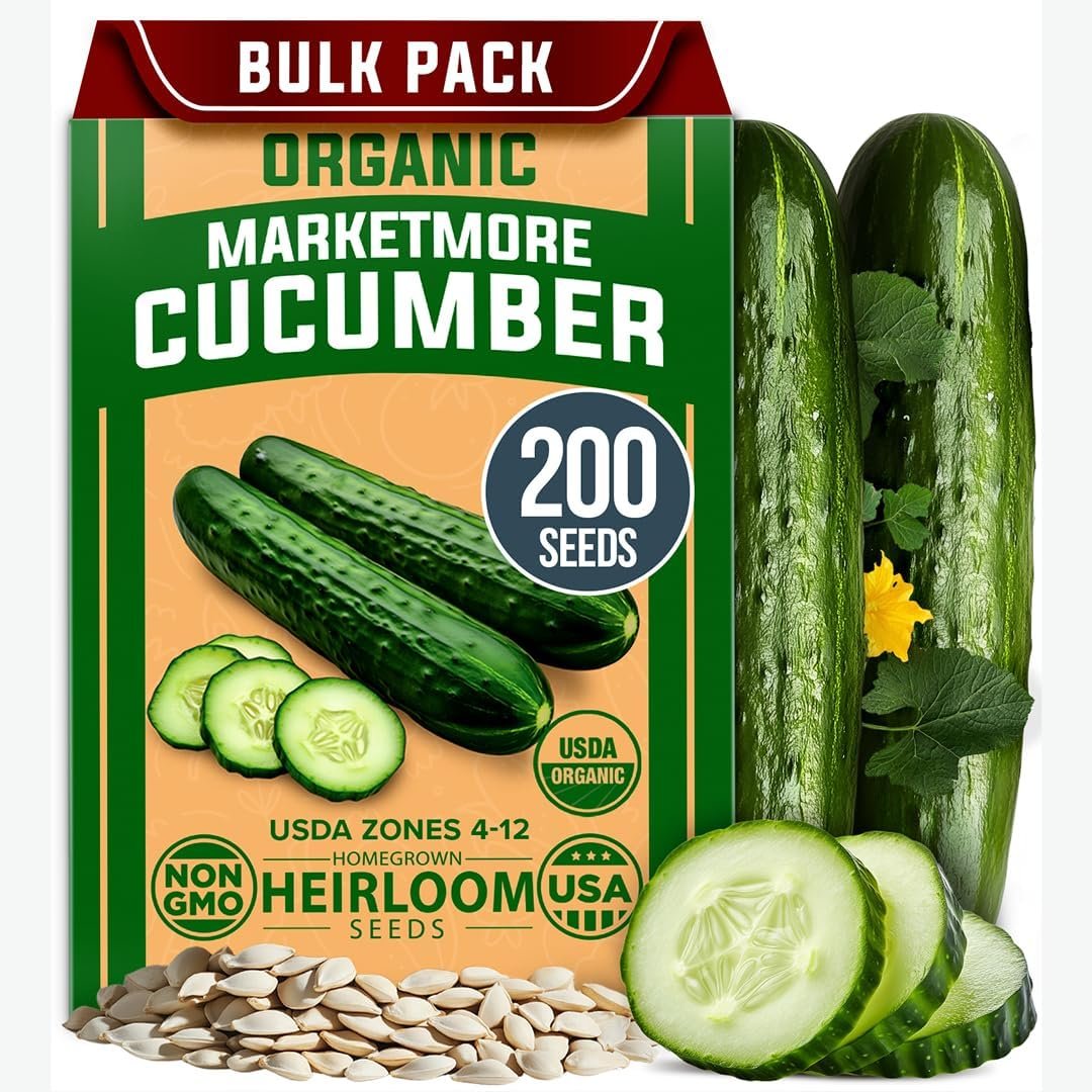 HOME GROWN Organic Marketmore Cucumber Seeds 200+ Heirloom Non-GMO Seeds for Planting, High Germination, Hardy & Vigorous Slicing Cucumber, Trellis & Raised Bed Garden (Cucumis sativus)