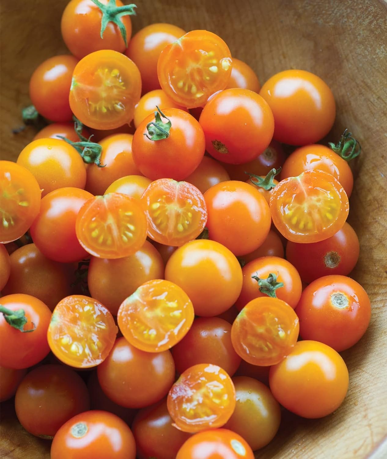 Burpee ‘Sun Gold’ Hybrid, Sweet Orange Cherry Tomatoes, 30 Non-GMO Seeds