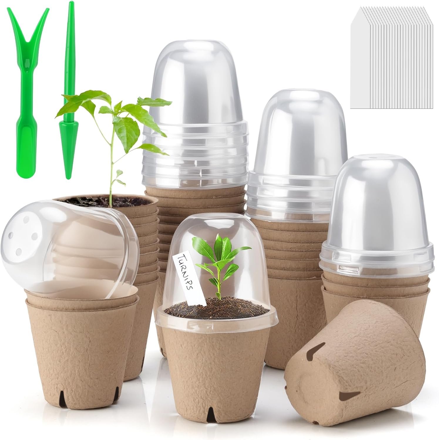 Baxrou 36 Set 3.15 Inch Peat Pots Plant Starters for Seedling with Humidity Dome,Herb Seed Starter Pots Kits, Garden Germination Nursery Pot wit 36 Plant Labels, 2 Transplant Tools.