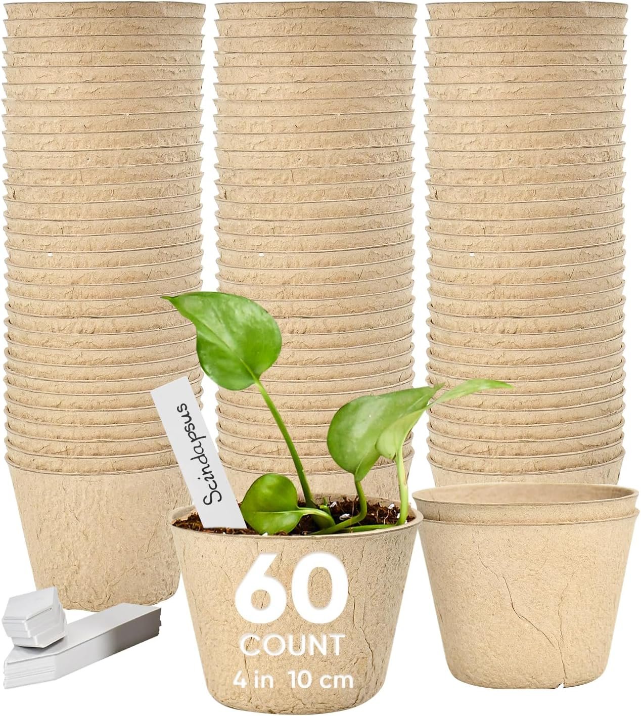 60 Pack 4 Inch Seed Starter Peat Pots with Plant Labels | Biodegradable Nursery Pots for Seedlings with Drainage Holes, Herbs, Flowers and Vegetables