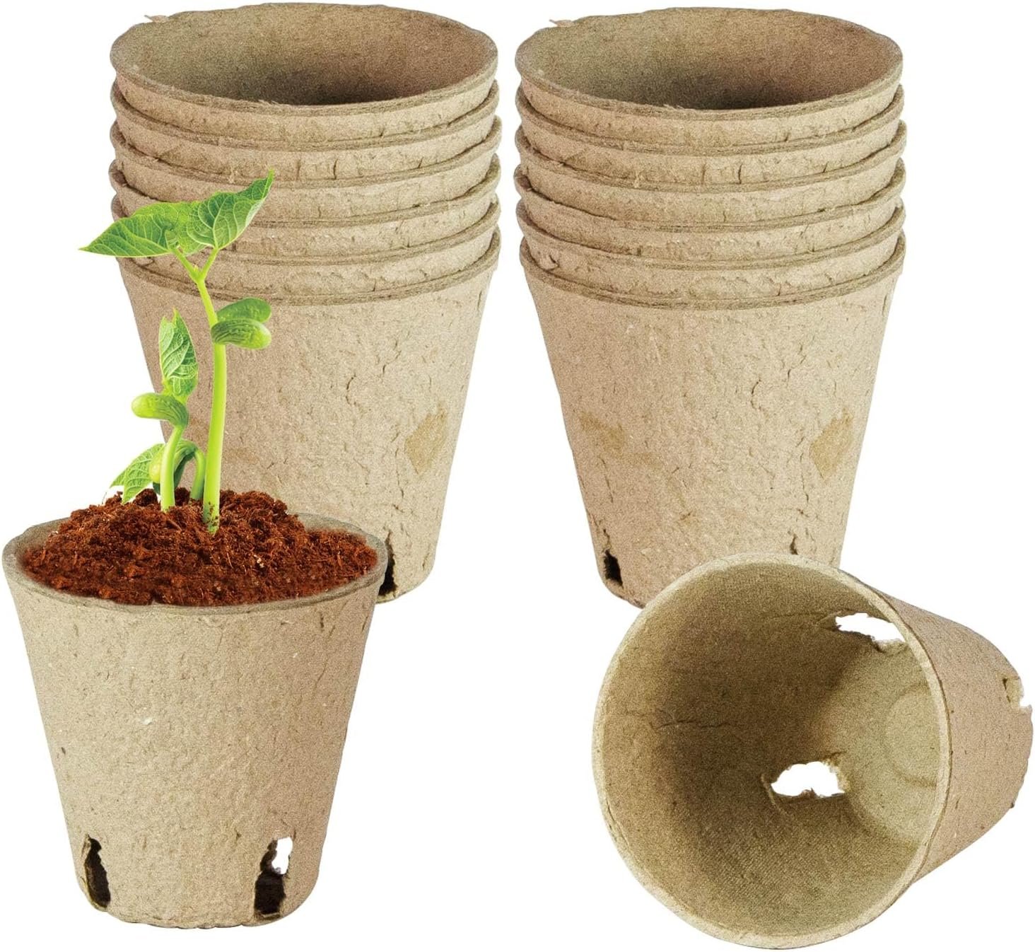 12 Pcs Peat Pots, Biodegradable Pots for Seedlings with Drain Holes, Garden Plant Nursery Pots for Plants, Vegetables,Fruits and Herb (12)