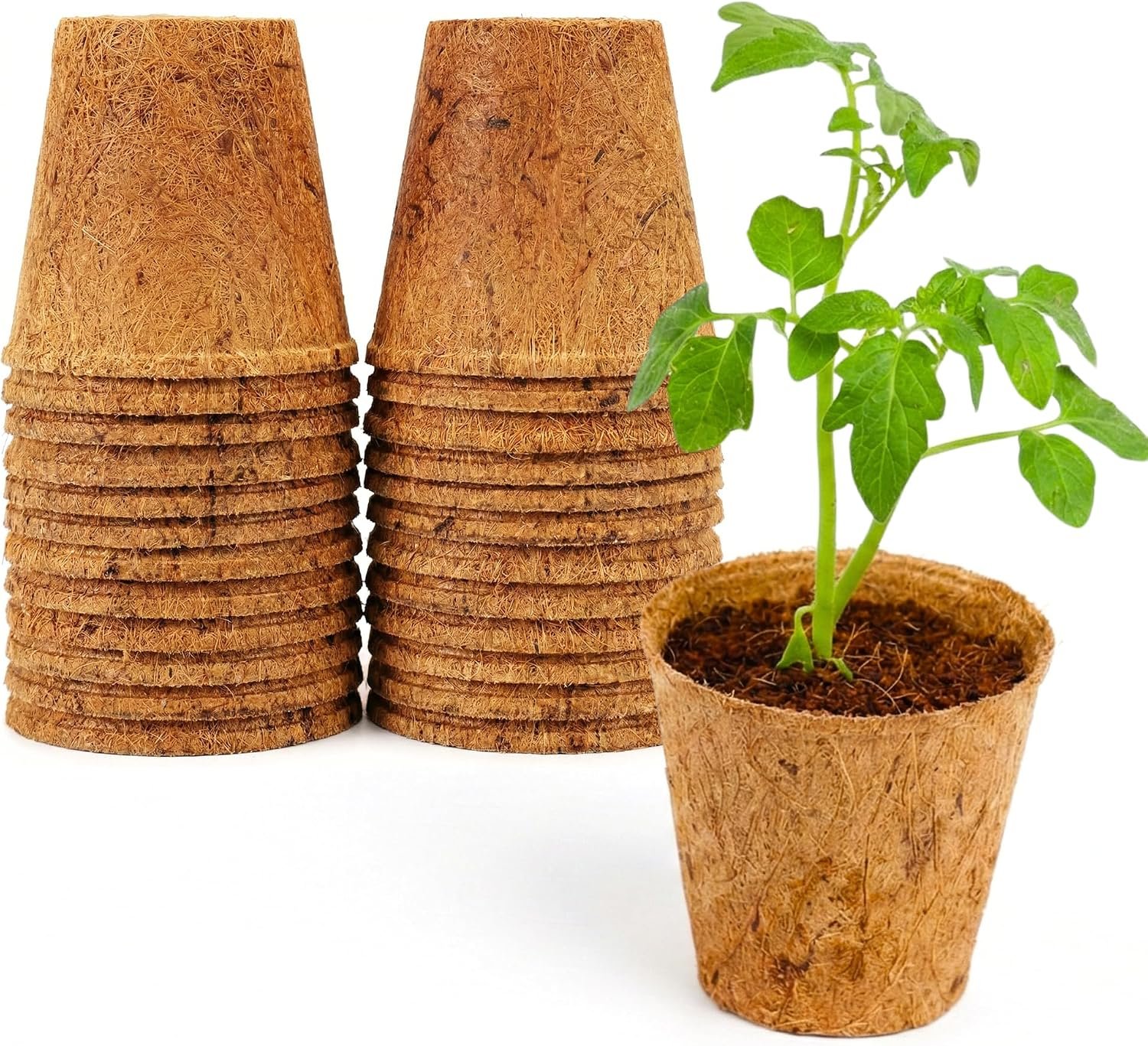 PlantBest 3 Inch Coconut Coir Biodegradable Pots – 22-Pack