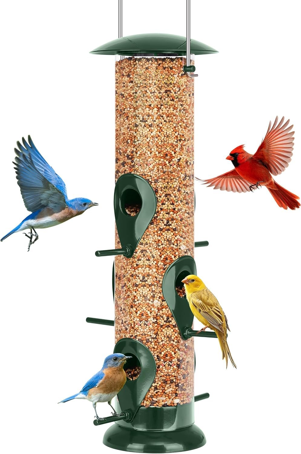 FEED GARDEN Metal Bird Feeder- 6 Port Tube Feeder for Outdoors with Metal Lid, Easy Fill & Clean, Weather Resistant, 13 Inch