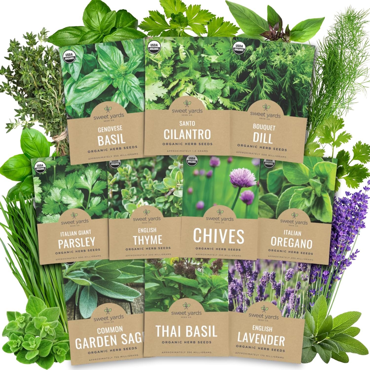 Organic Herb Seeds Variety Pack – 10 Individual Packs – 2026 Season – Basil, Cilantro, Dill, Thyme, Parsley and More! for Indoor & Outdoor Planting (Non-GMO, Certified Organic)