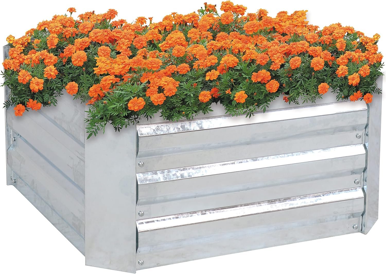 Sunnydaze Galvanized Raised Garden Bed, Square, 2x2x1 ft, Silver | 3.9 cu ft, 29.3 gal, 1mm Rust-Resistant Galvanized Steel, Bottomless Outdoor Metal Planter Box for Vegetables, Flowers, Herbs