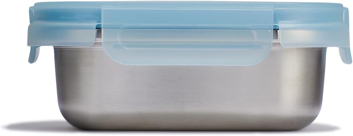 Hydro Flask Food Container – Hot Lunch Stainless Steel Snack Container with Lid – 2 Cup Capacity in Rain