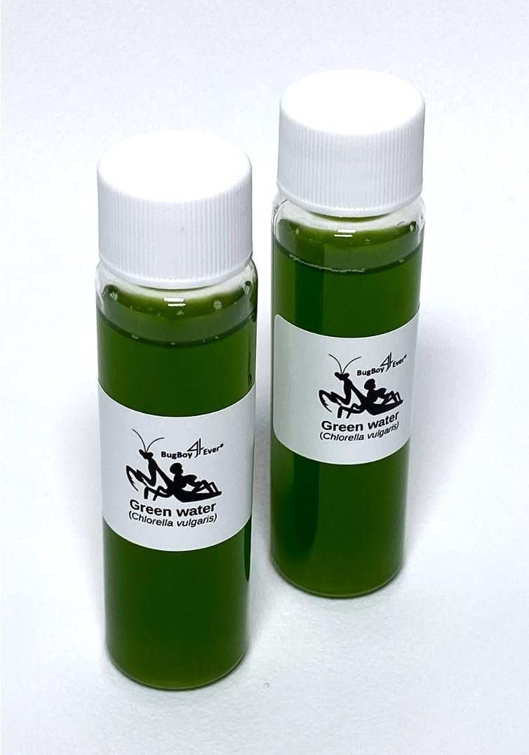 Two (2) Live Green Water (Chlorella vulgaris) Starter Culture Vials – Live Phytoplankton for Aquarium microfauna Stability, Infusora Production, Zooplankton (Daphnia, Moina, etc.) Food, and More