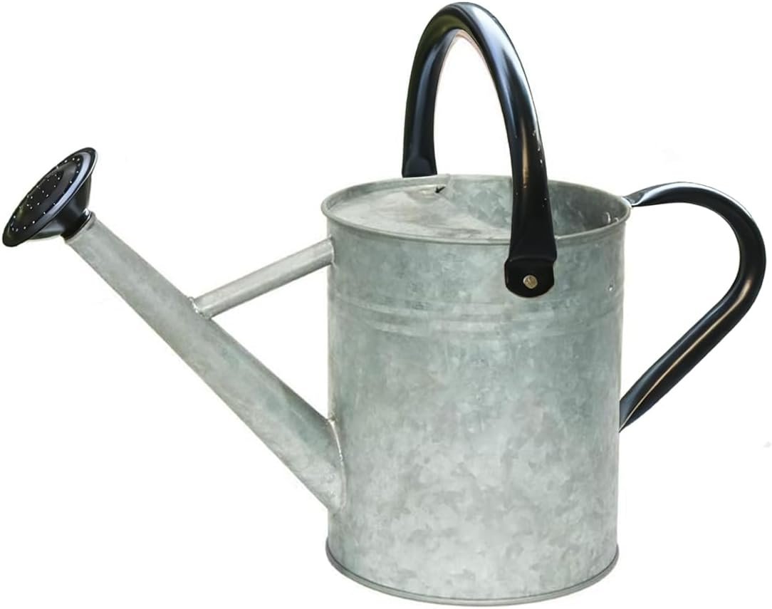 Metal Watering Can 1 Gallon for Indoor and Outdoor Plants Silver Black | Plants watering can with detachable nozzle and movable handle made and flowers, patio pots, planters and garden care