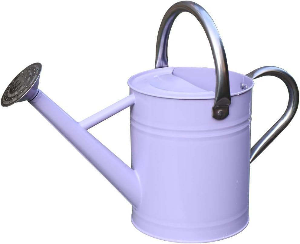Metal Watering Can 1 Gallon for Outdoor Garden Plants,Purple | Watering Cans Stainless Steel Handhold with Removable Spout,Galvanized Watering Can for Patio, and Houseplants