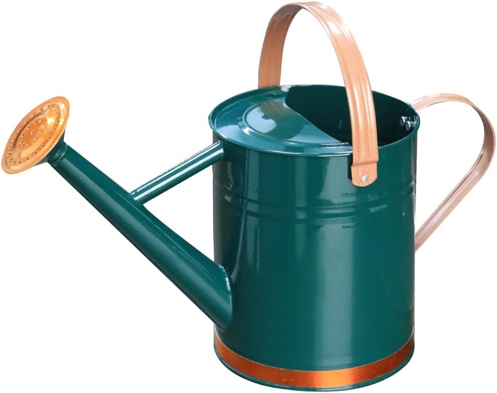 Metal Watering Can 1 Gallon for Outdoor Indoor Garden Plants,GreenB | Watering Cans Stainless Steel Handhold with Removable Spout,Galvanized Watering Can for Patio, and Houseplants