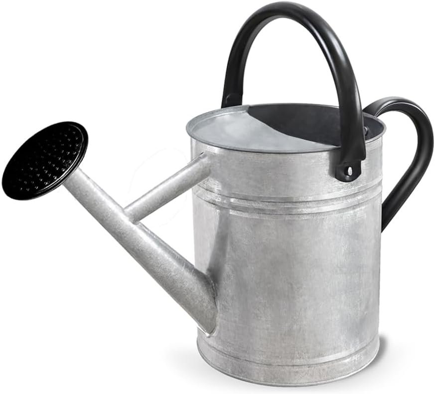 Metal Watering Can with Removable Spout, Galvanized Steel Plants Water Can for Women, Men and Kids’ Outdoor or Indoor Gardening – Nice Flower Watering Pot Gift & Decoration (Zinc, 0.6 Gallon)