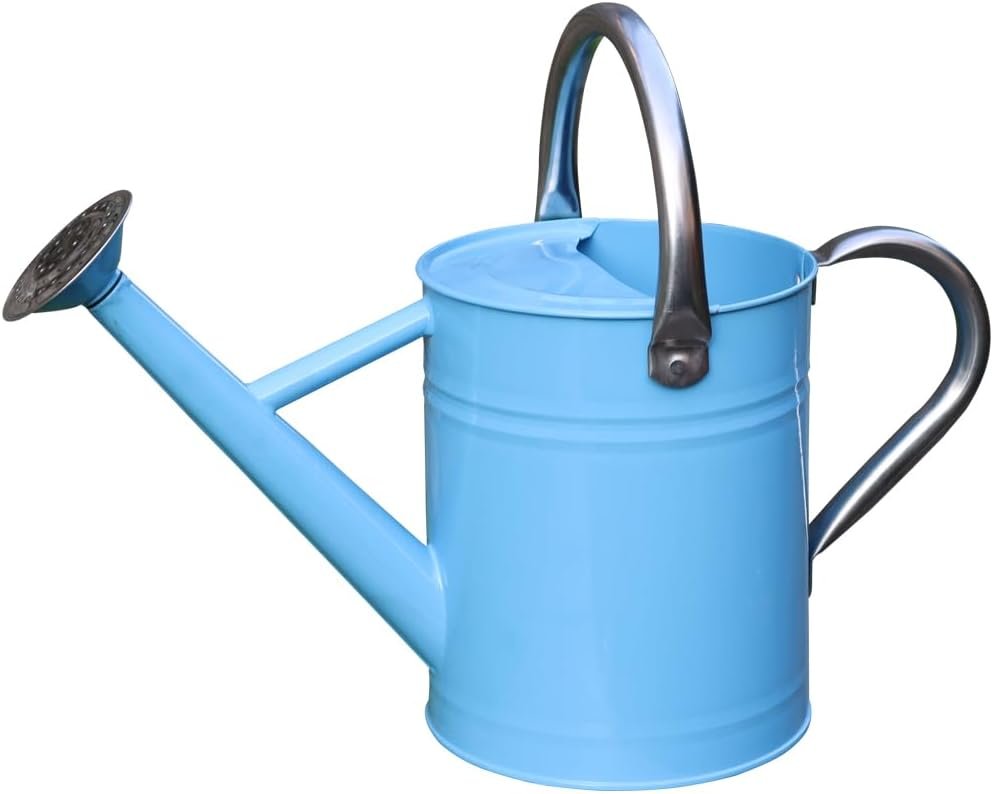 Metal Watering Can, 1 Gallon for Outdoor Garden Plants, Blue | Watering Cans Stainless Steel Handhold with Removable Spout,Galvanized Watering Can for Patio, and Houseplants ﻿