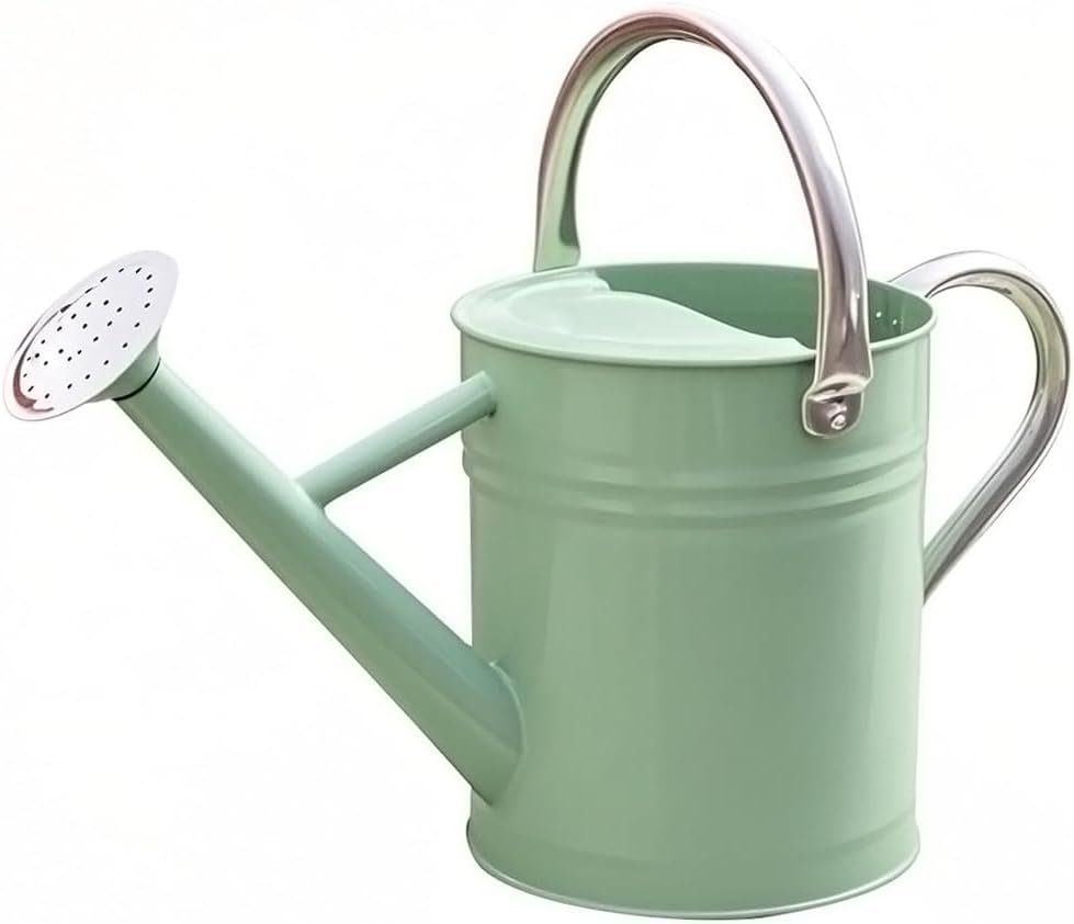 Metal Watering Can 1 Gallon for Outdoor Garden Plants, CGreen | Watering Cans Stainless Steel Handhold with Removable Spout,Galvanized Watering Can for Patio, and Houseplants ﻿
