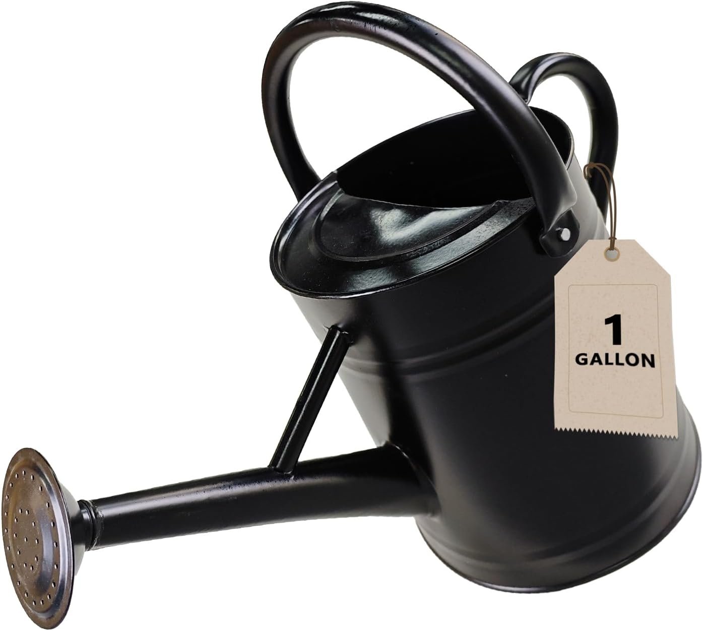 1 Gallon Metal Watering Can for Outdoor&Indoor Plants | Removable Sprinkler Head,Made of Premium Galvanized Steel,Sturdy, Anti-rust and Leak-proof,Powder Coated Surface
