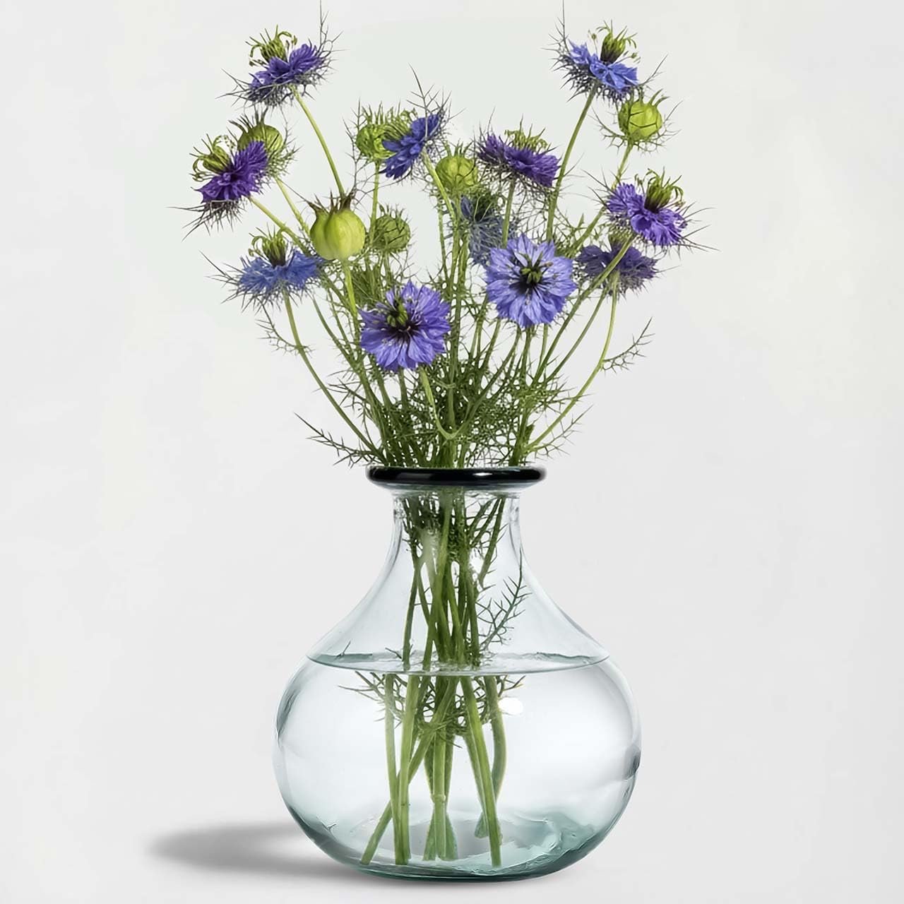 Gourde Recycled Glass Vase, 8.25” Clear Glass Vase with Large Capacity for Floral & Home Décor