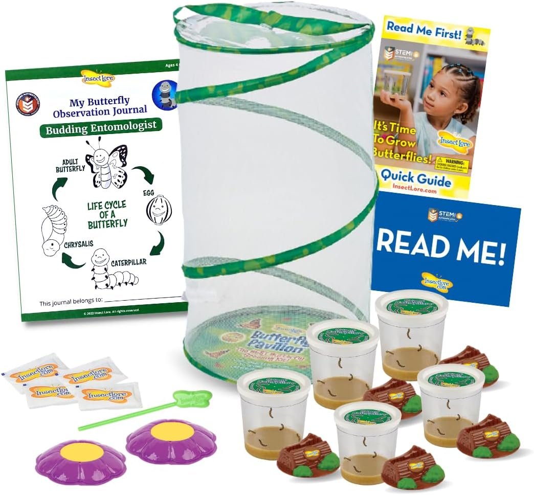 Insect Lore Easy 25 Butterfly Garden Pavilion Growing Kit – 25 Baby Caterpillars, Pavilion Habitat, Chrys-a-lids, Food & Supplies – Raise and Release Painted Lady Butterflies