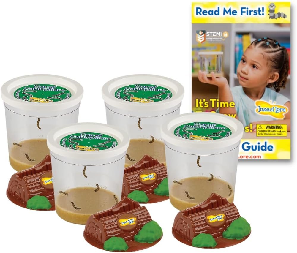 Insect Lore Funtastic 4 Cups of Caterpillars – 20 Live Painted Lady Caterpillars with Food, Chrys-A-Lid Holding Log Included, Refill for Butterfly Garden Habitat, STEM Learning