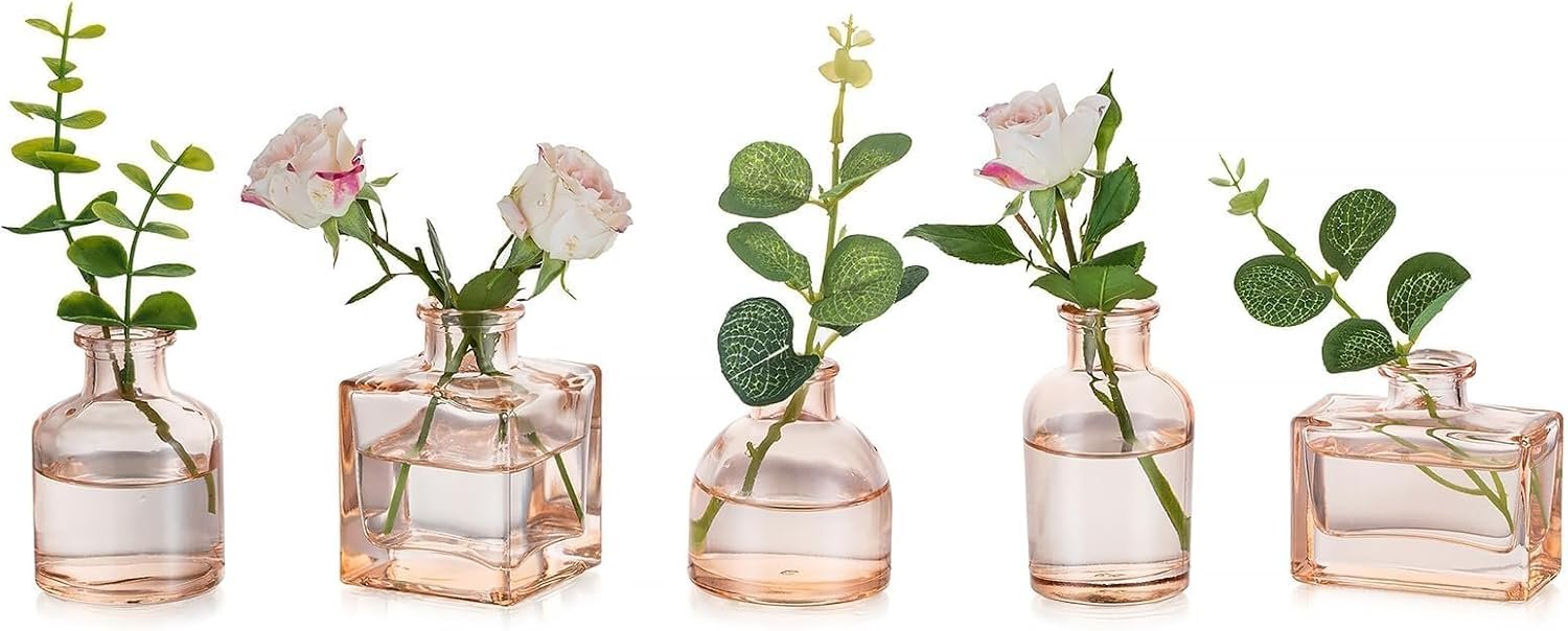 Glasseam Champagne Mini Bud Vases, 5 Pcs Small Glass Vases for Centerpieces | Assorted Tiny Minimalist Jars for Single Stem Flowers, Romantic Decor for Home Table, Wedding, Small Party Centerpieces