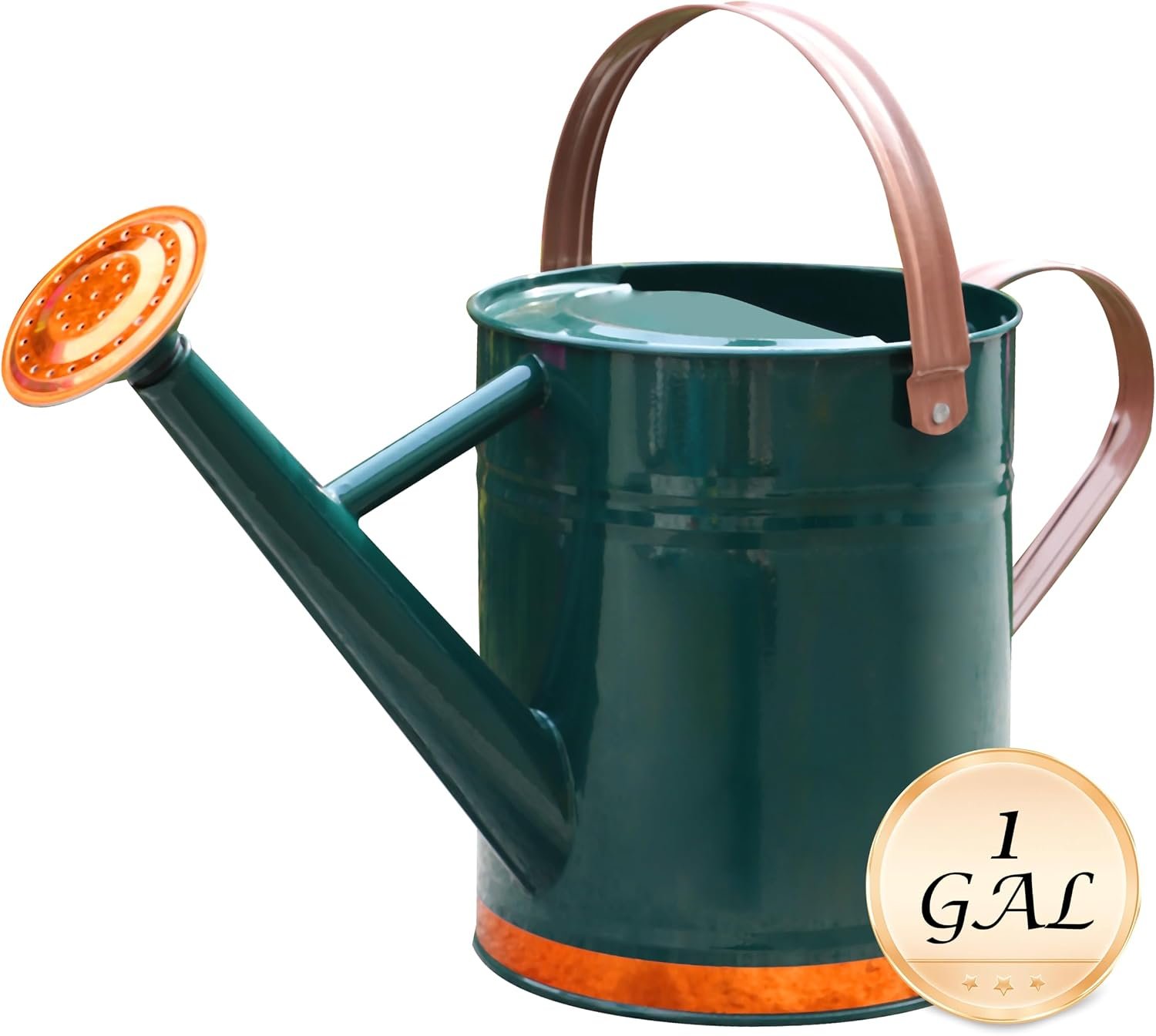 Metal Watering Can for Outdoor Plants, Watering Can Decor 1 Gallon (GB) | Galvanized Metal Watering Can with Removable Spout and Stainless Steel Handle for Garden Plants