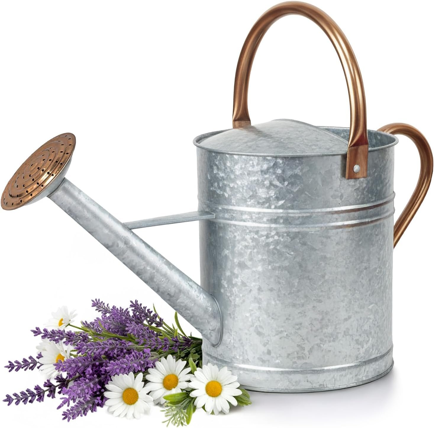 Plexon Large Metal Watering Can Outdoor 2 Gallon, Plant Flower Gardening Garden Watering Can Pot, Bronze Galvanized Steel Handles and Removable Spray Spout, Silver