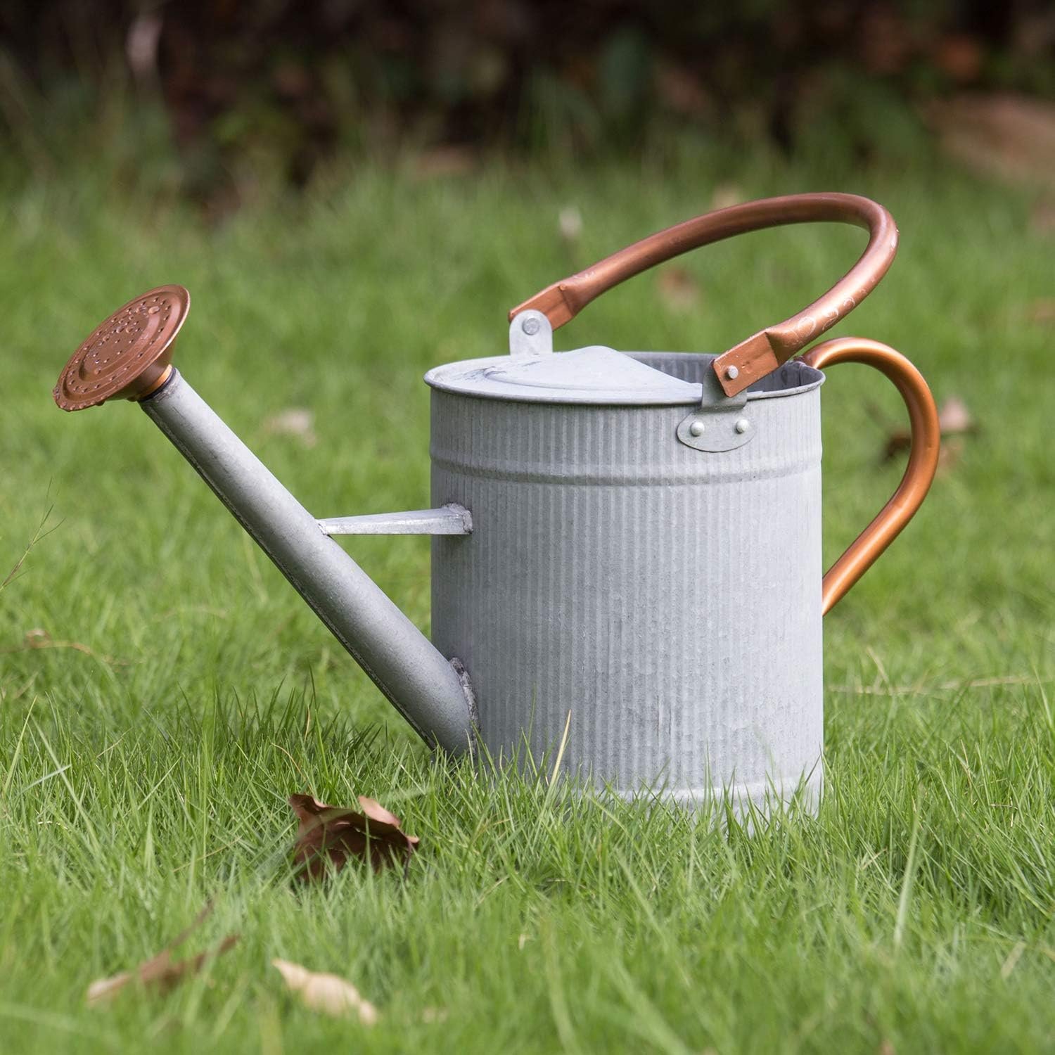 1 Gallon Watering Can, Metal Watering Can with Removable Spout, Farmhouse Galvanzied Water Can, Nice Plant Water Can for Indoor Use and for Outdoor Use | Classic Galvanized Watering Pot for Garden, Patio, and Houseplants