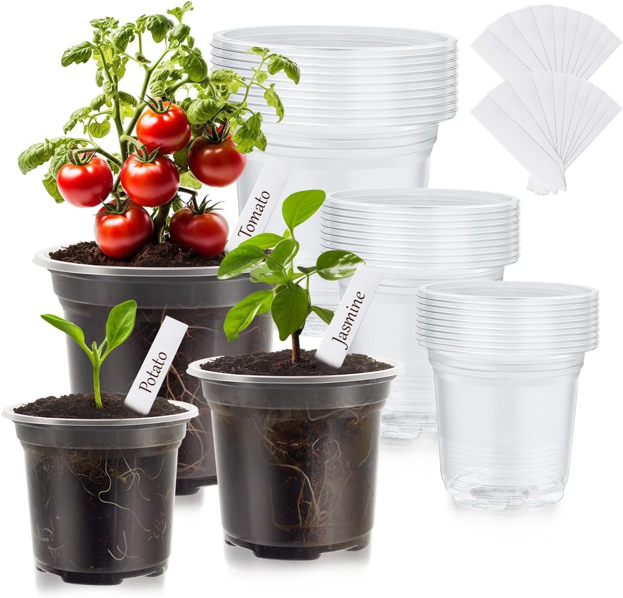 30 Pack Clear Nursery Plant Pots, 3.5/4/5 In with Drainage Holes, 20 Labels | High Transparency (Clear View of Root Growth), Variety Pack, Good Drainage, 20 Pack Easy-ID Plant Labels