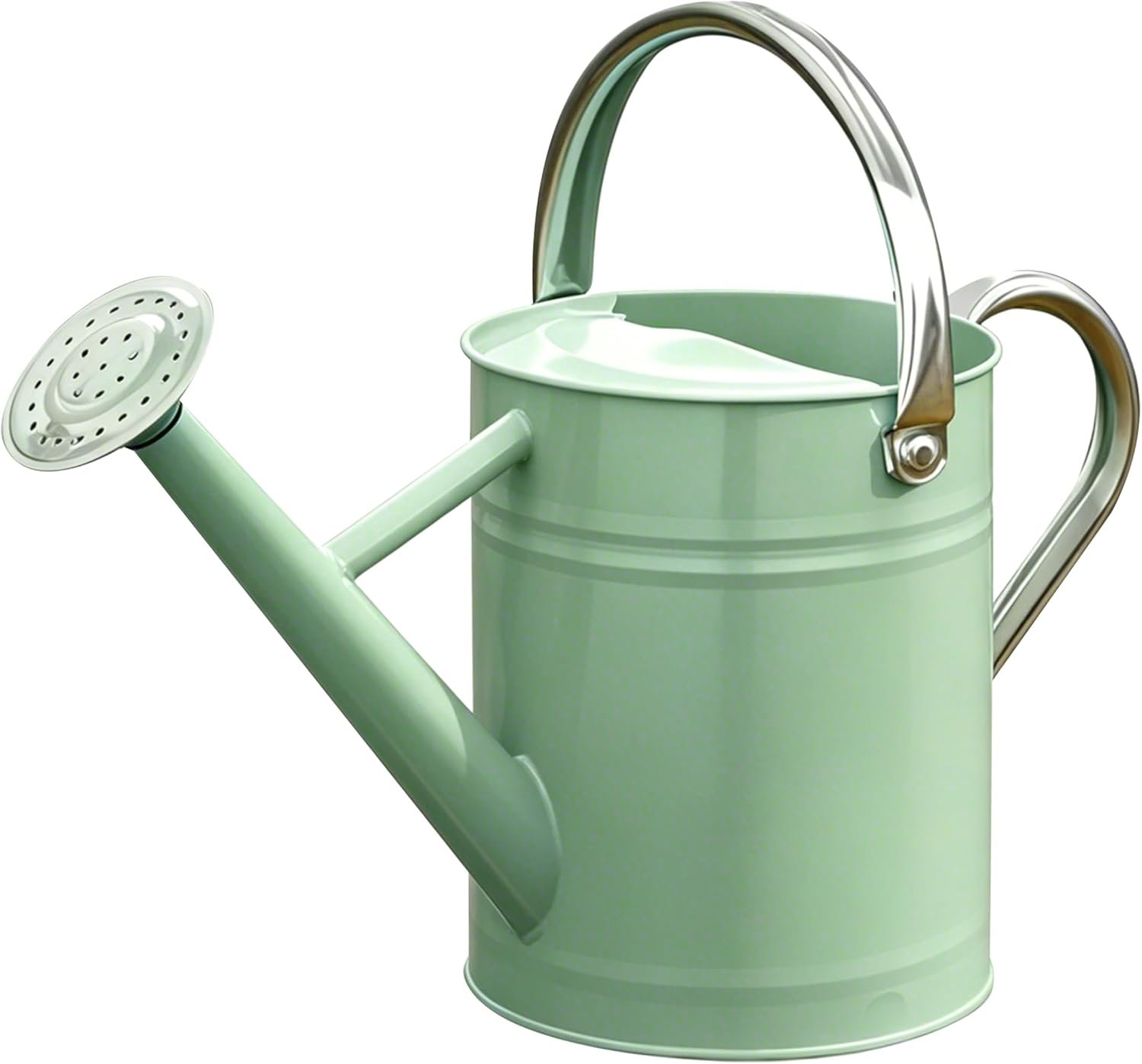 Metal Watering Can for Outdoor Plants, Watering Can 1 Gallon,Cream Green | Galvanized Metal Watering Can with Removable Spout and Stainless Steel Handle for Garden Plants