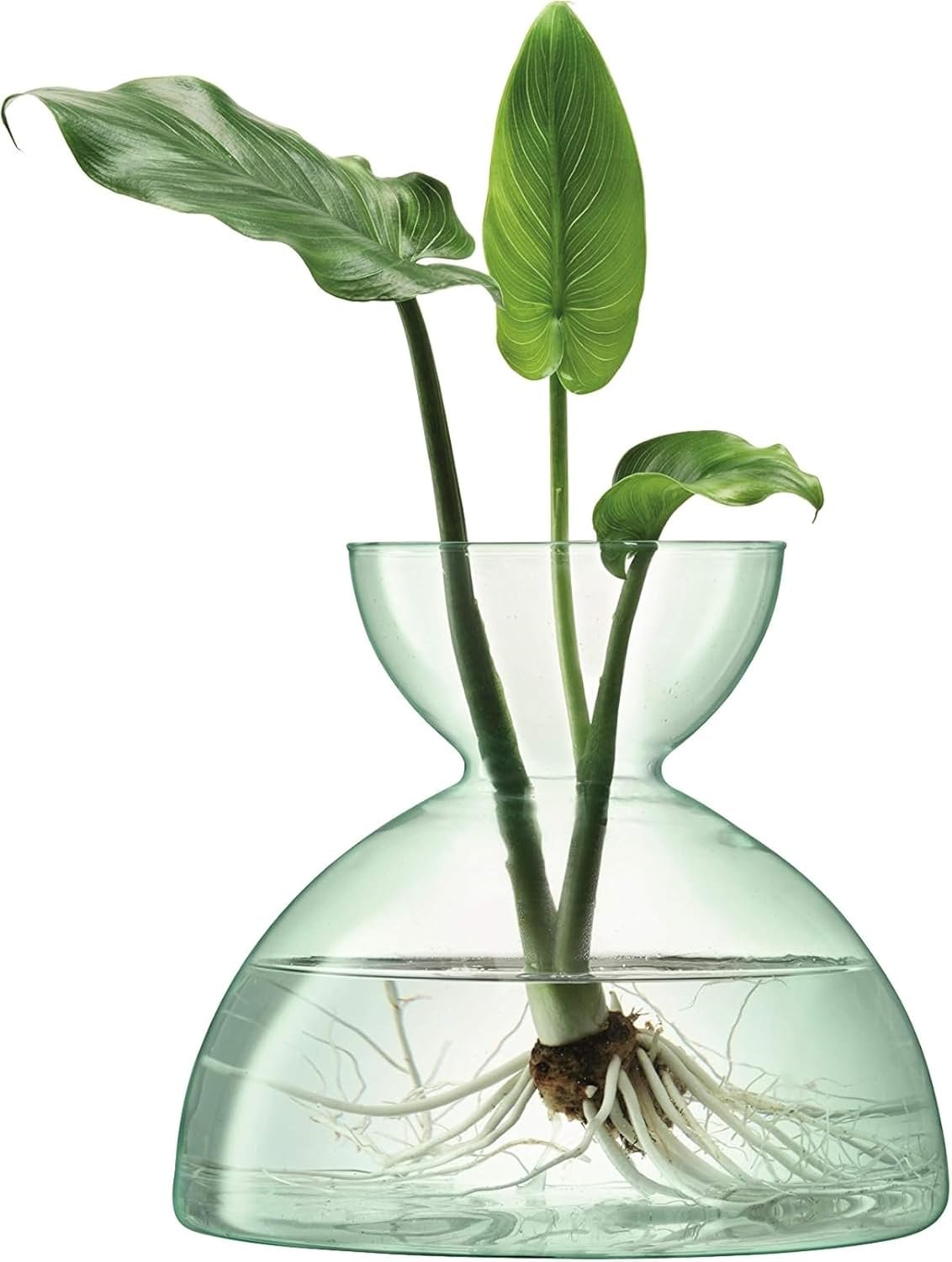 LSA International Canopy Decorative Vase 7.25”, Luxury Handcrafted Elegant Recycled Glass Flower Holder with Domed Base