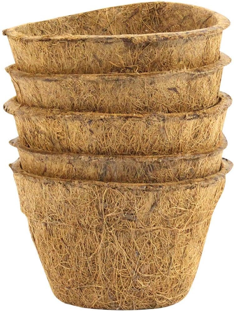 Envelor Coco Coir Plant Pots Seed Starter Tray Biodegradable Seed Starter Pots Coco Peat Pots Seedling Cups Small Plant Pots Germination Nursery Planting Tray Plant Starter Pots, 6 Inches 5 Pack