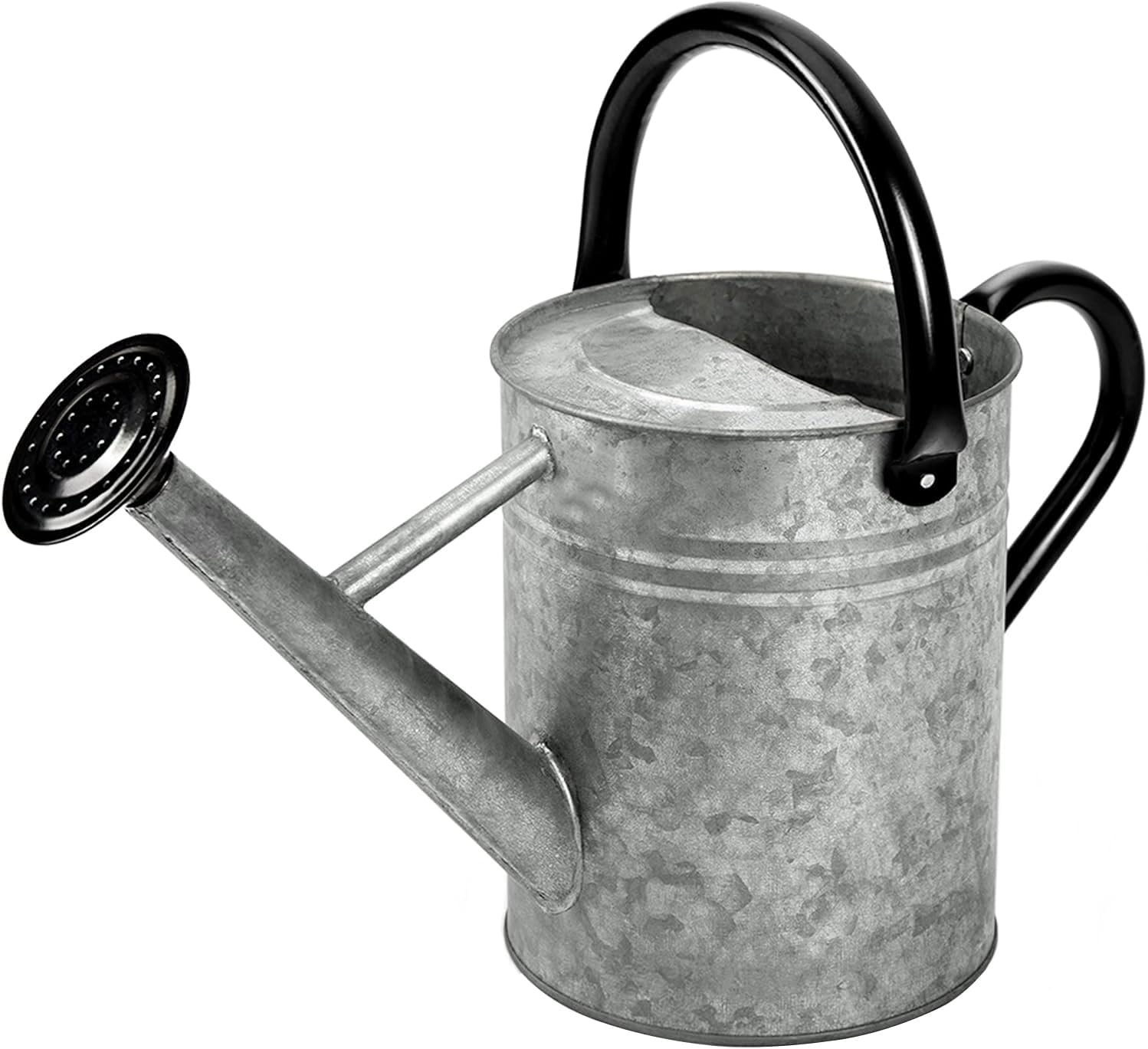 Metal Watering Can, 1 Gallon for Outdoor Garden Plants,SilverB | ﻿ Watering Cans Stainless Steel Handhold with Removable Spout,Galvanized Watering Can for Patio, and Houseplants