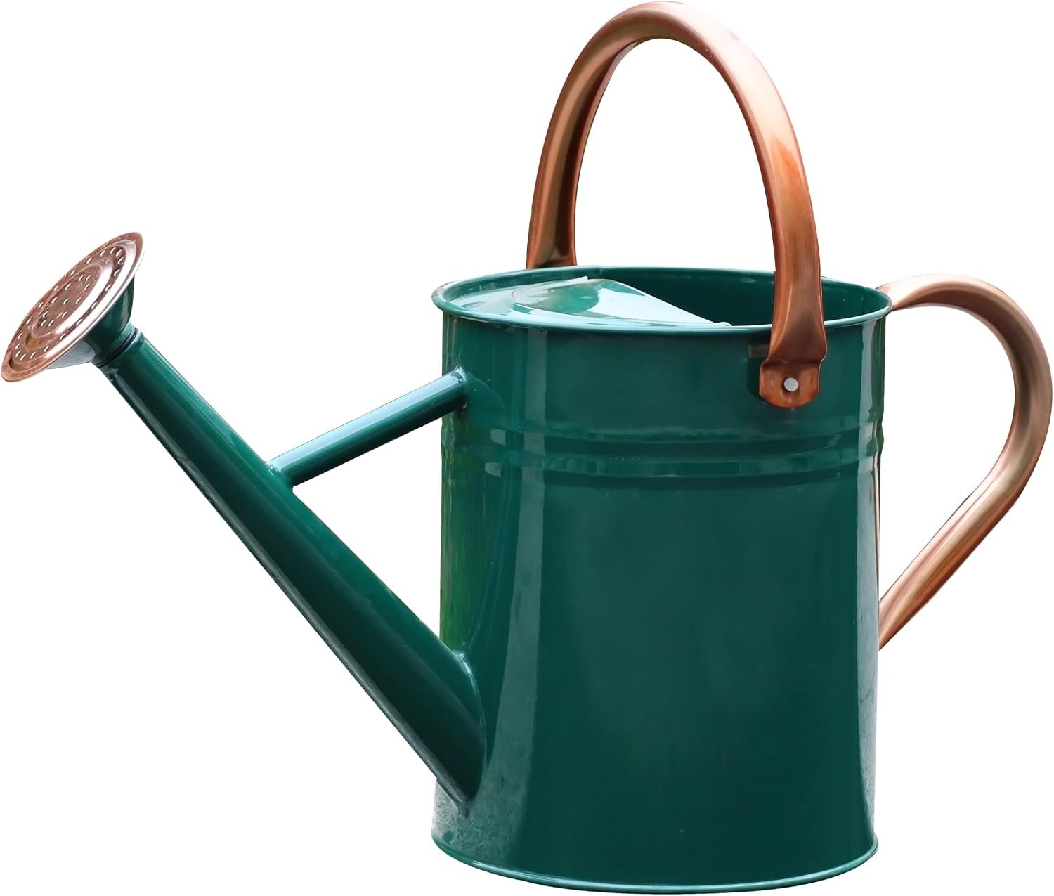 Metal Watering Can for Outdoor Plants, Watering Can 1 Gallon (NewGreen) | Galvanized Metal Watering Can with Removable Spout and Stainless Steel Handle for Garden Plants