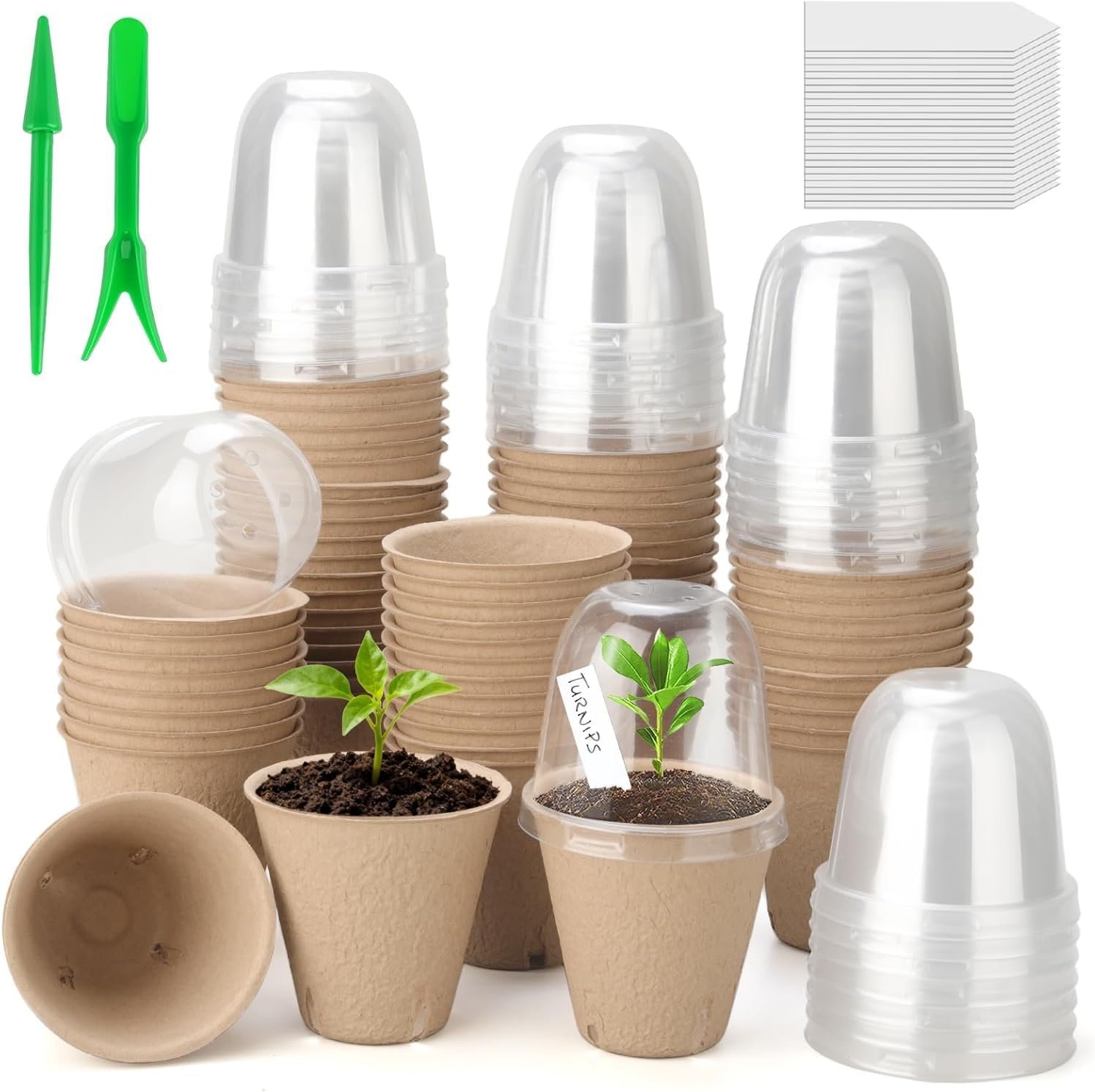 50 Set 3.15 Inch Peat Pots Plant Starters for Seedling with Humidity Dome,Herb Seed Starter Pots Kits, Garden Germination Nursery Pot wit 50 Plant Labels, 2 Transplant Tools.