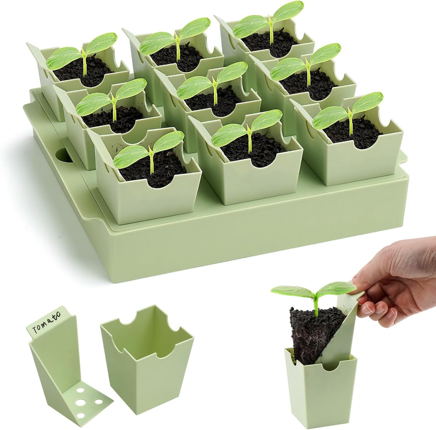 Seed Starter Tray with Lift-Out Handles for Easy Transplanting | 9 removable cells support individual care; reusable tray supports bottom watering indoors or outdoors