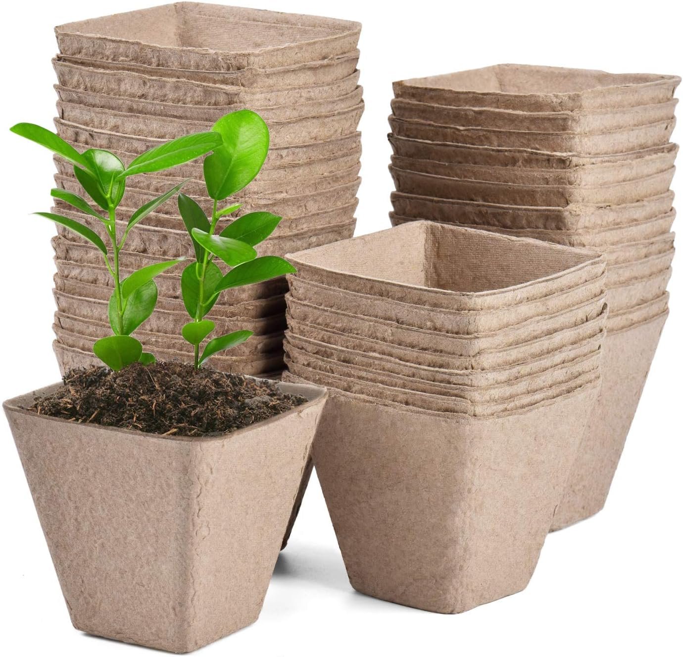 JOYSEUS 3.25″ Seed Starter Pots, Organic Planting Peat Pots for Indoor Garden Seedling, 30 Pcs 100% Eco-Friendly and Biodegradable for Seed Germination | Made From Recycled Pulp for Flowers, Herbs and Vegetables; Transplant Directly Into Soil to Help Protect Delicate Roots