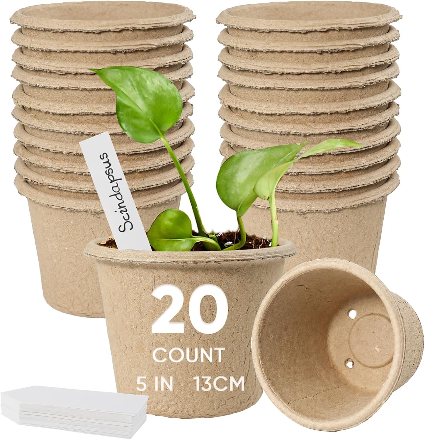 20 Pack 5 Inch Biodegradable Nursery Peat Pots | Includes 20 Plant Labels, Drainage Holes, Large Seedling Pots, Outdoor Transplanting
