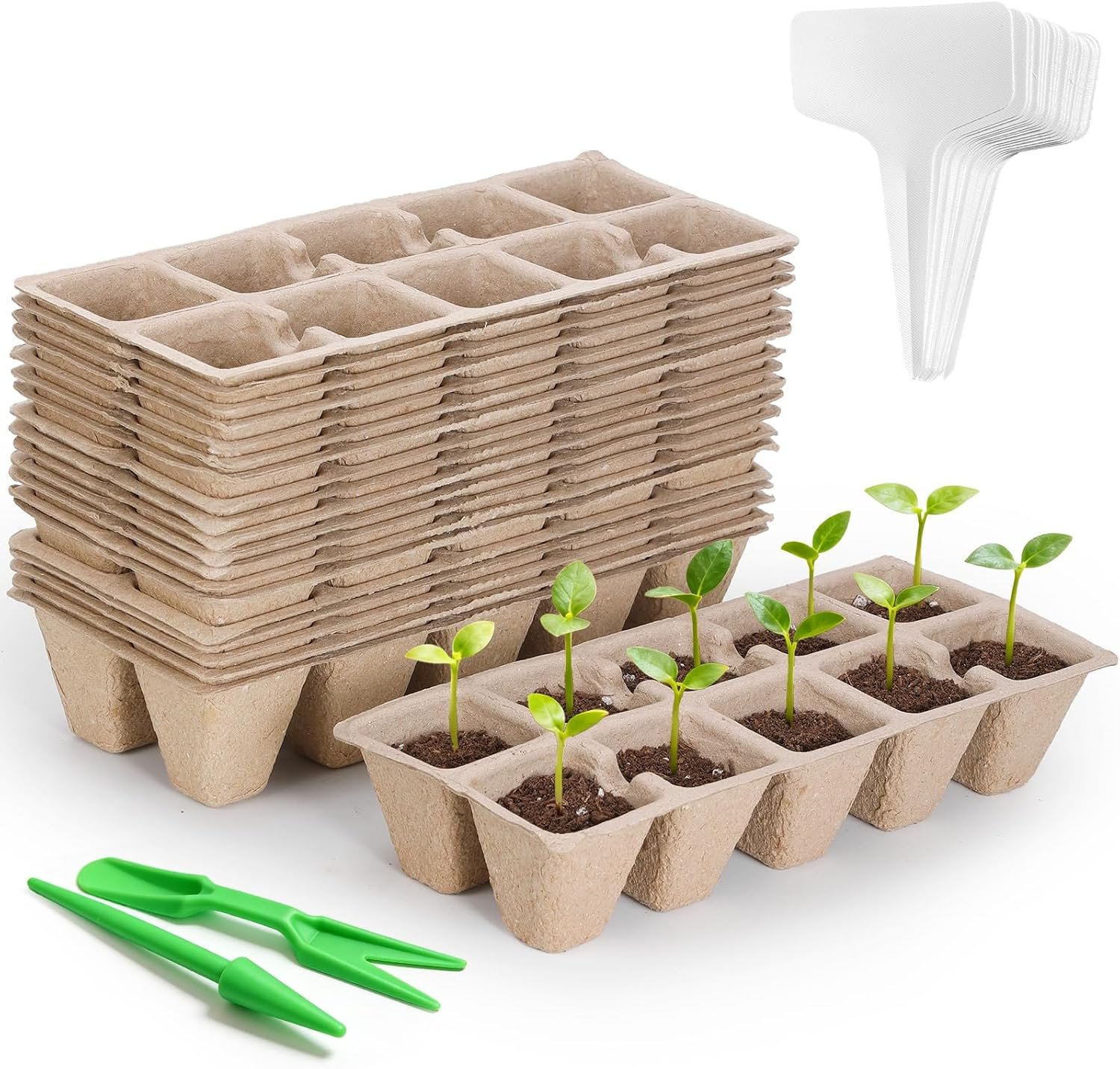 200 Cells Seed Starter Tray, 20 Pcs Biodegradable Plant Starter Peat Pots(Including T-Type Labels & Starter Tools)– Eco-Friendly Gardening Supplies, No Transplant Needed