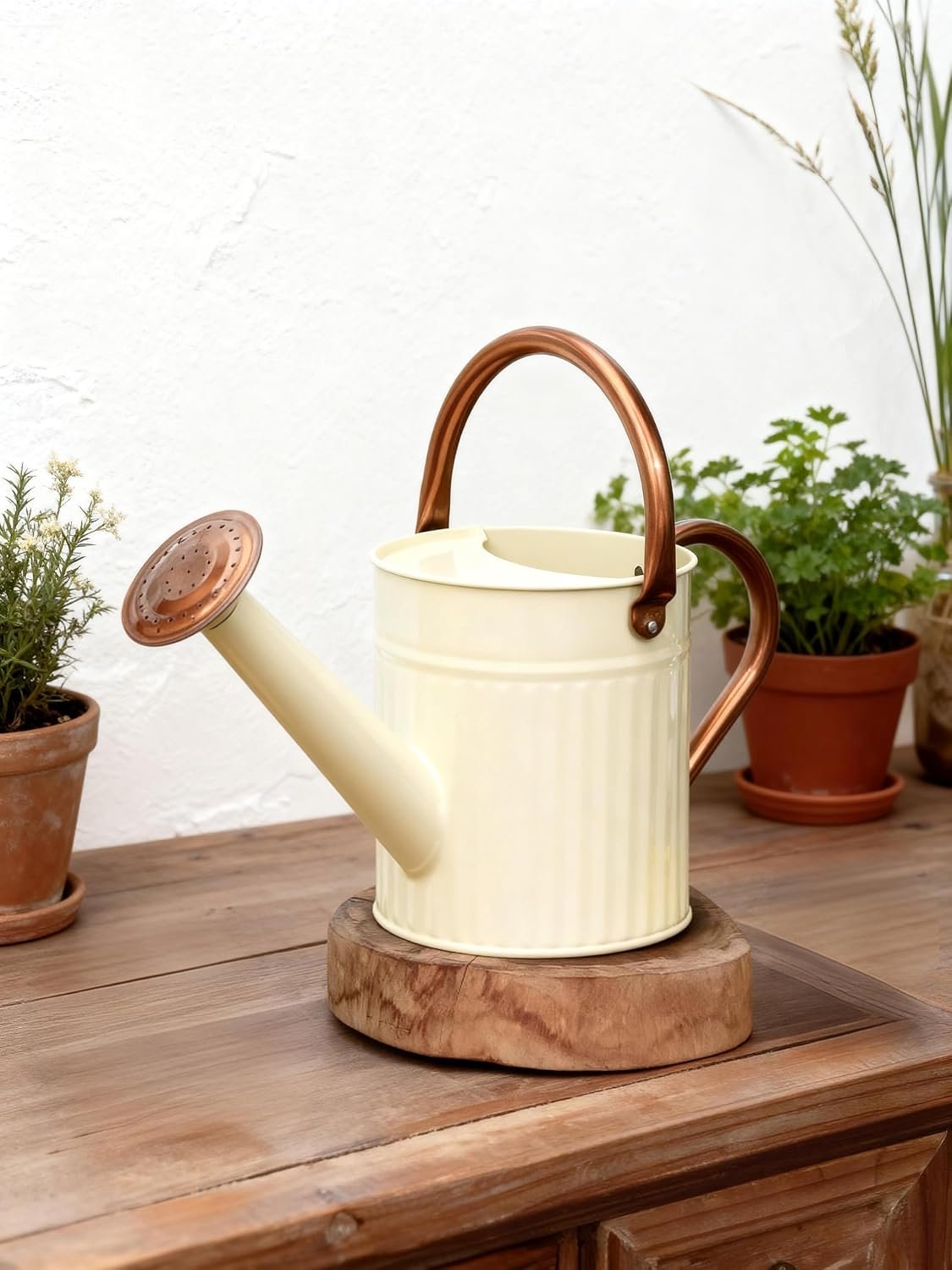 Bamworld Metal Watering Can for Indoor Outdoor Plant 1/2 Gallon Creamy | plant watering cans with Removable Spout Embossd Design Plant Watering Devices Galvanized Perfect Home & Garden Décor