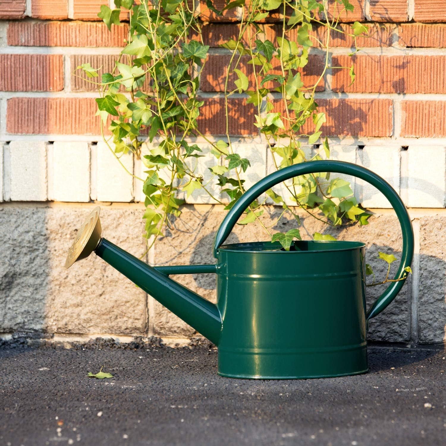 1.3 Gallon Jade Green Metal Watering Can, Removable Spout | Galvanized Plant Water Can for Houseplants, Patio, and Garden Beds