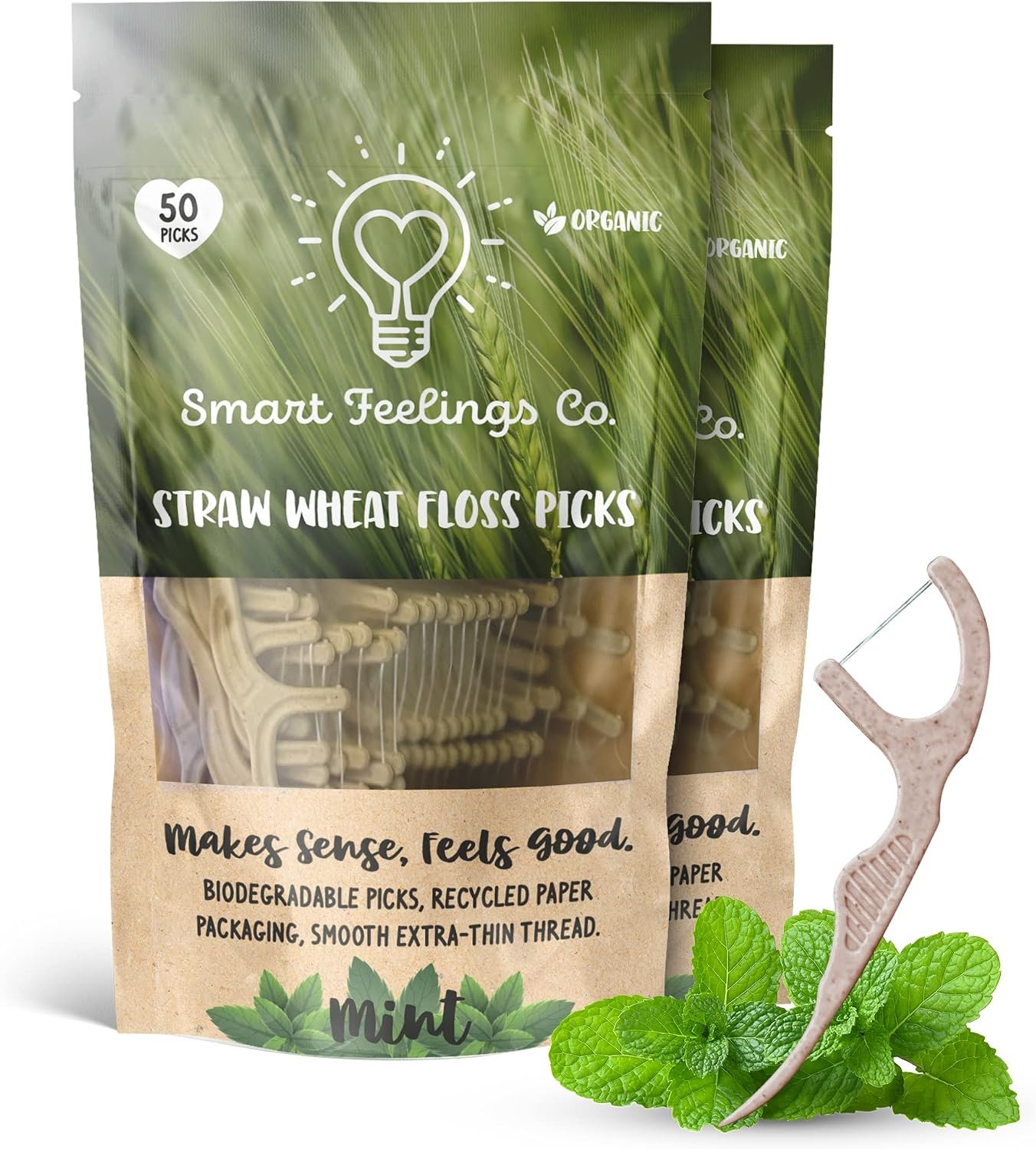 Biodegradable Dental Floss Picks 100 Count total 2 50 Packs | Eco-Friendly Bamboo like Straw Wheat Sustainable Mint Flavored Flossers for Kids and Adult Teeth Cleaning For the Enviromentally Conscious